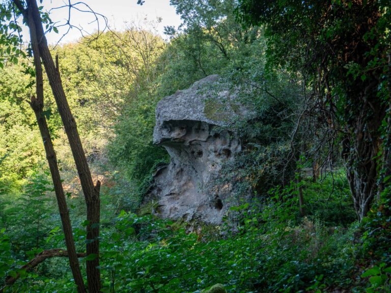 TEMPIO DI DEMETRA 3