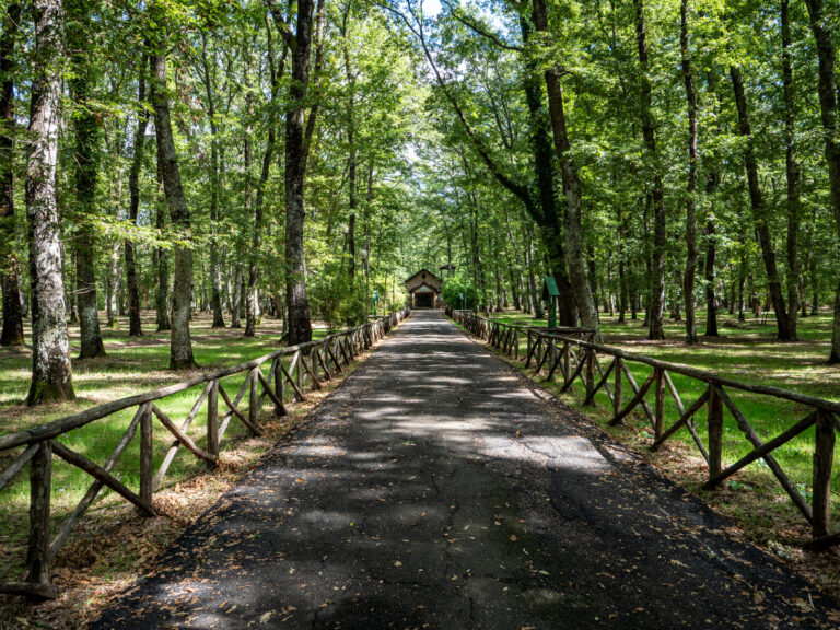 Viale della CHIESA santuario DELLA FOLGORE Vetralla Città incantata 2